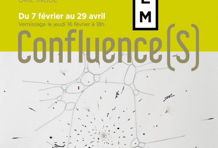 Confluence(S)  Exposition collective