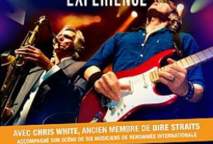 Concert The dire straits experience à Amiens le 15 novembre 2023